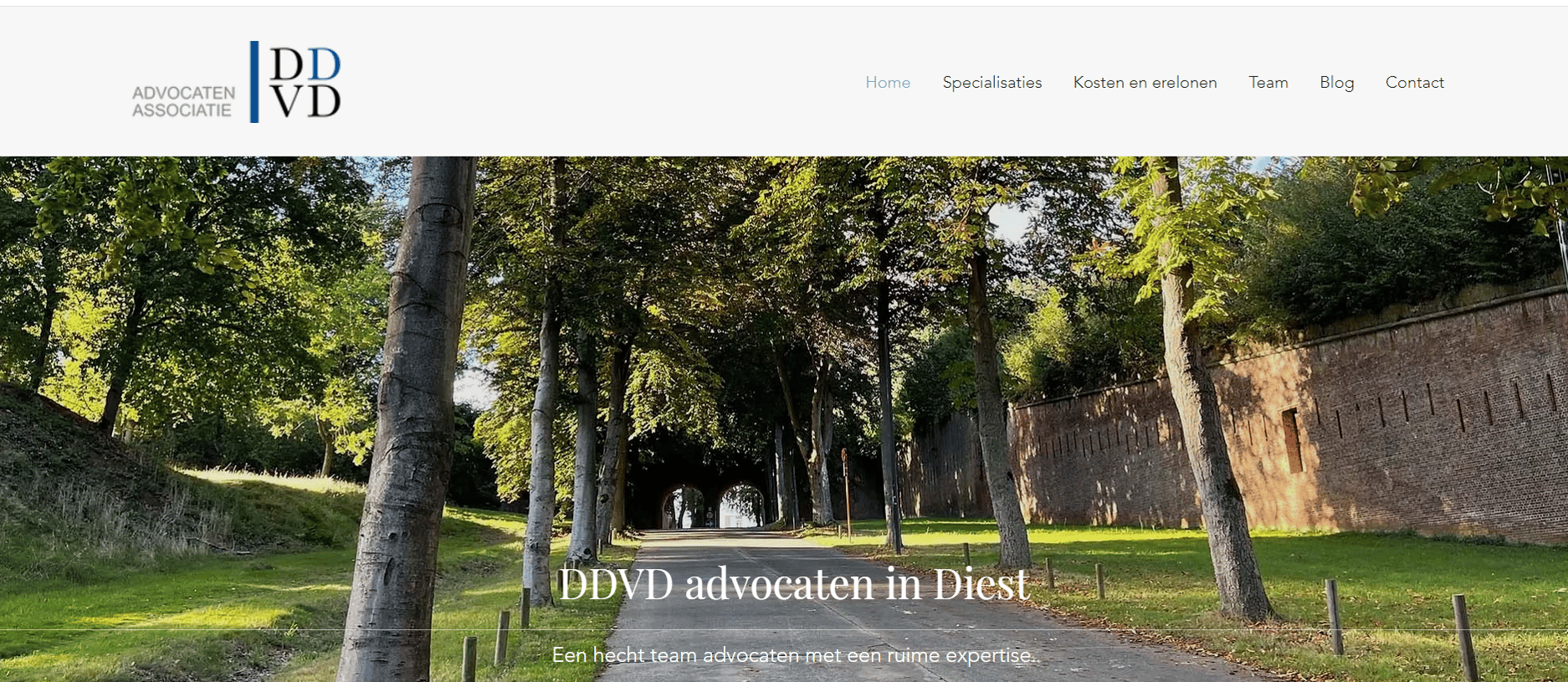 DDVD website
